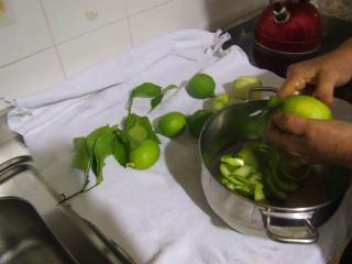 Immagine allegata alla scheda. Per averne una descrizione leggere i dettagli più in basso.